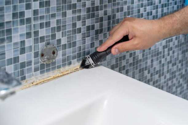 Best Emergency Mold Removal  in Dublin, PA