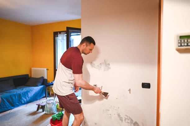 Best Mold Removal Company Near Me  in Dublin, PA